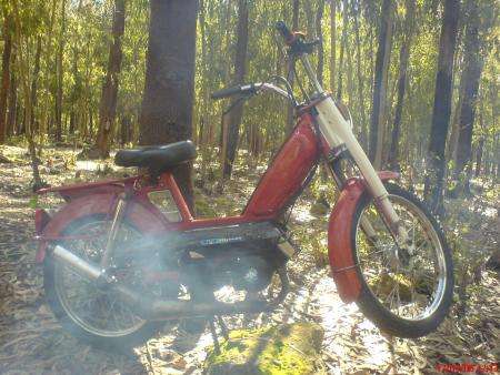 103 classic rouge